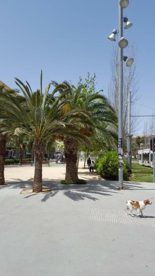 Apartamento En Ani Alicante Eksteriør billede