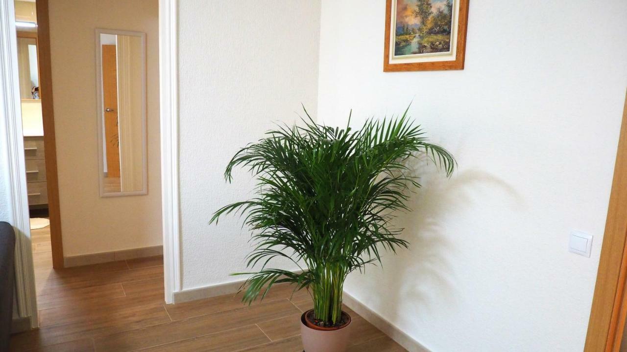 Apartamento En Ani Alicante Eksteriør billede